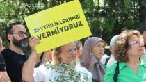 ZEYTİN NÖBETİ TUTAN KÖYLÜLER AÇLIK GREVİNE BAŞLADI!