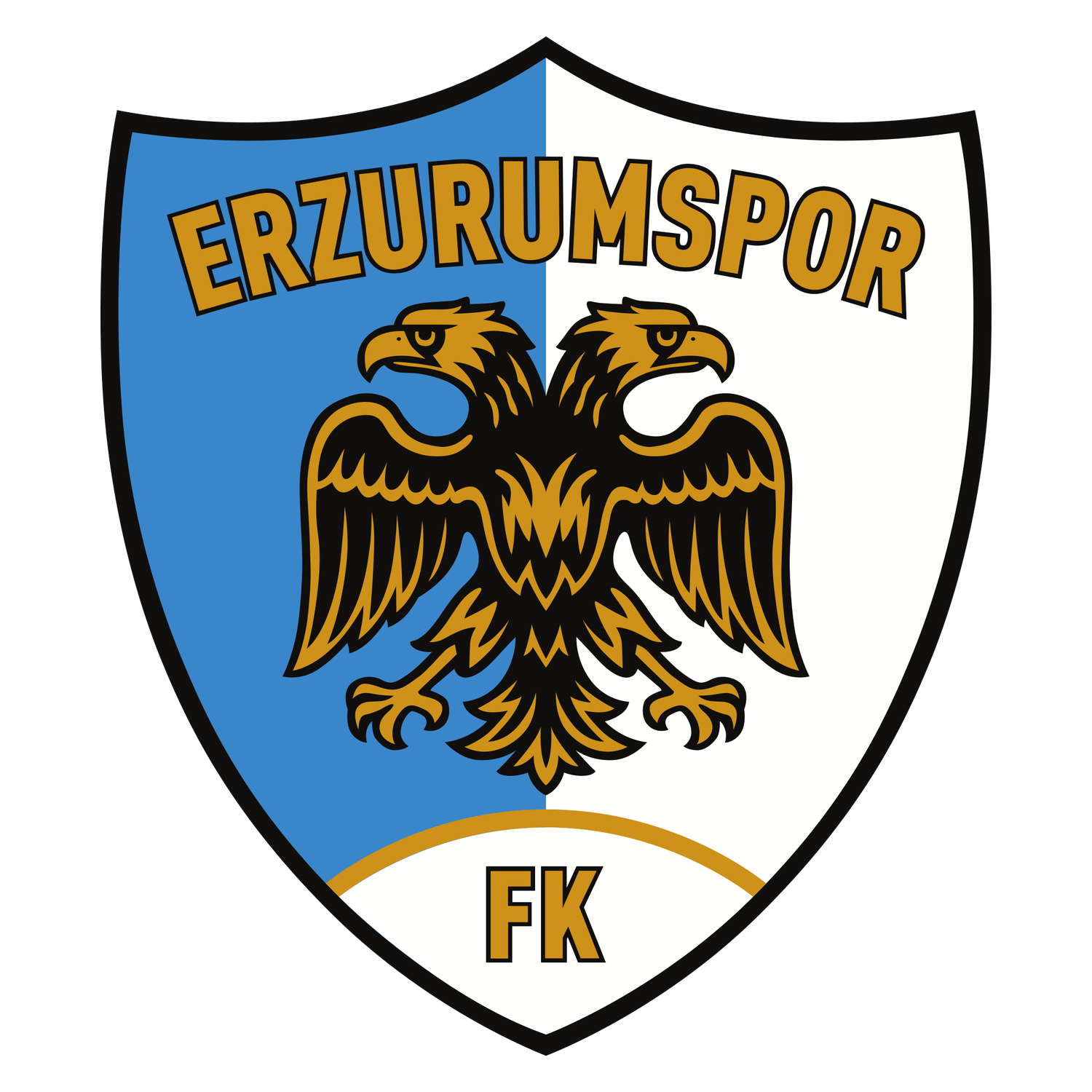 ERZURUMSPOR FK