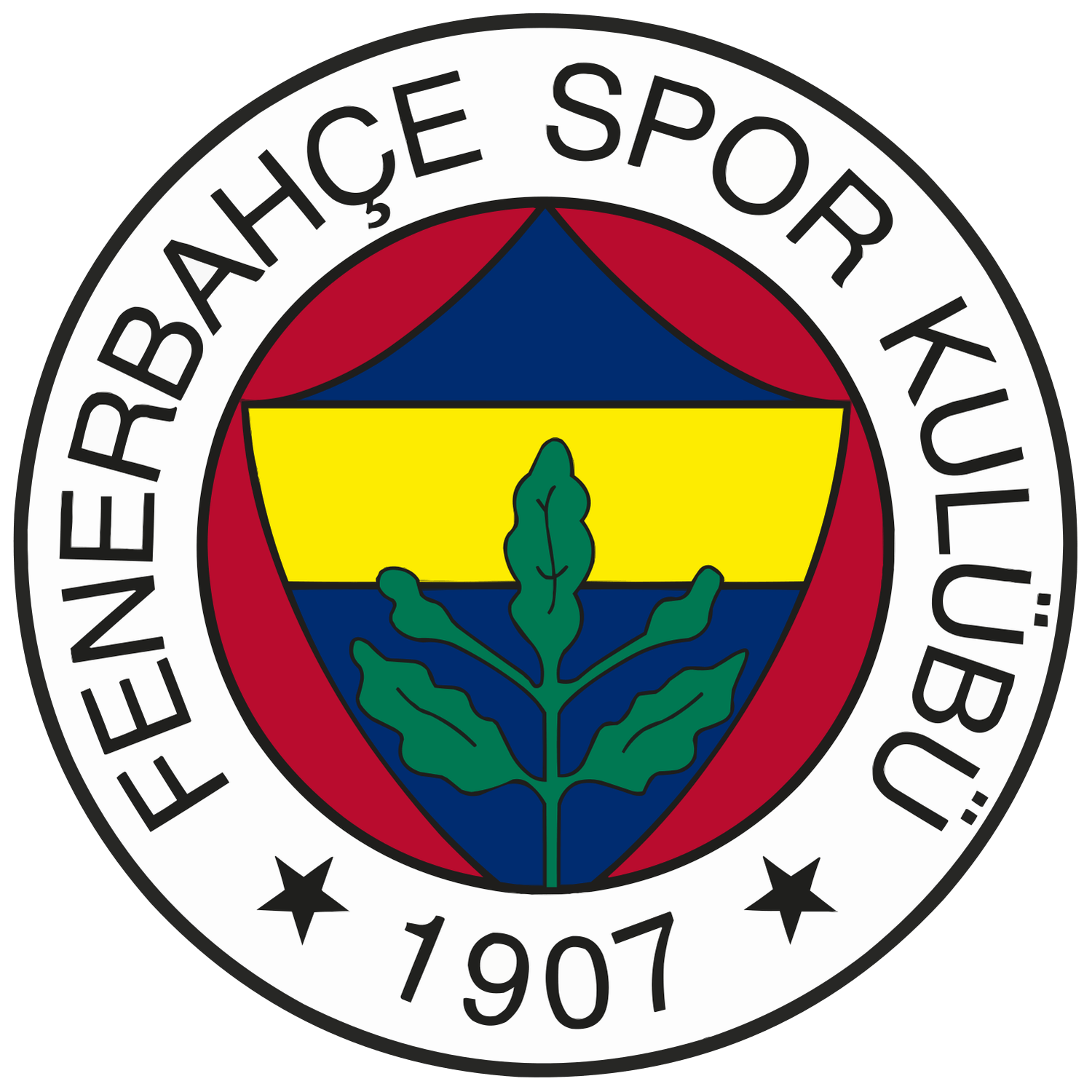 FENERBAHÇE A.Ş.